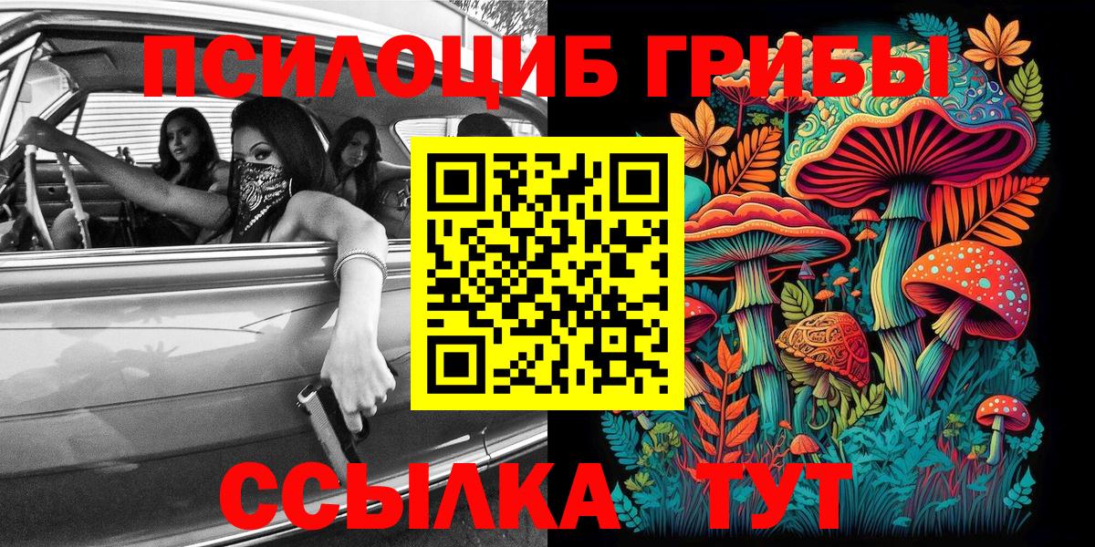 Псилоцибиновые грибы Psilocybe  Галлюциногенные грибы мухоморы  Вход с VPN  Кинешма 