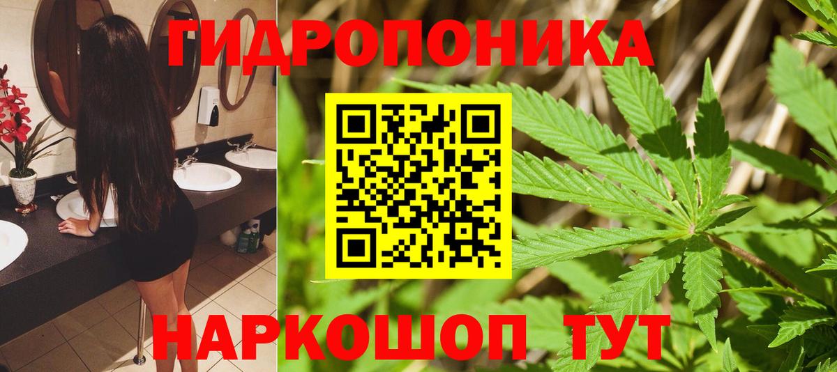 Кинешма  Каннабис семена  Вход с VPN  Бошки Шишки семена 